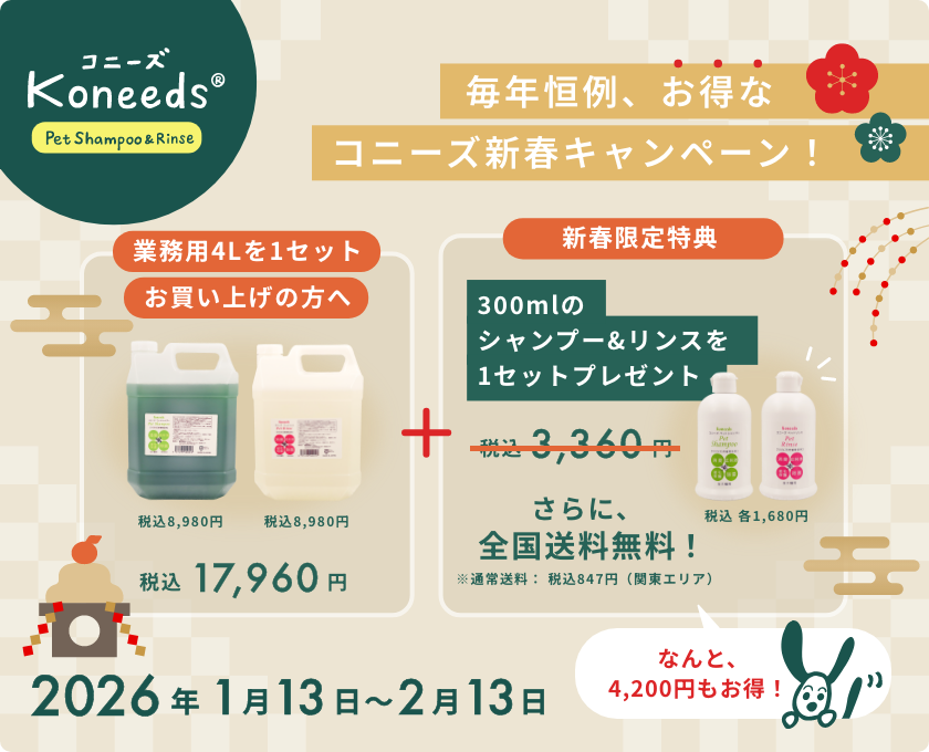 コニーズ新春キャンペーン